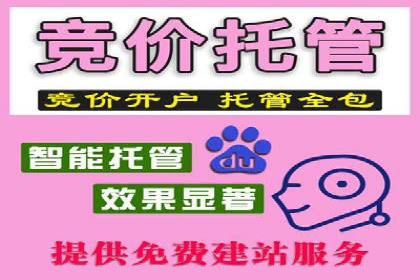 某电商平台的SEM投放全流程案例
